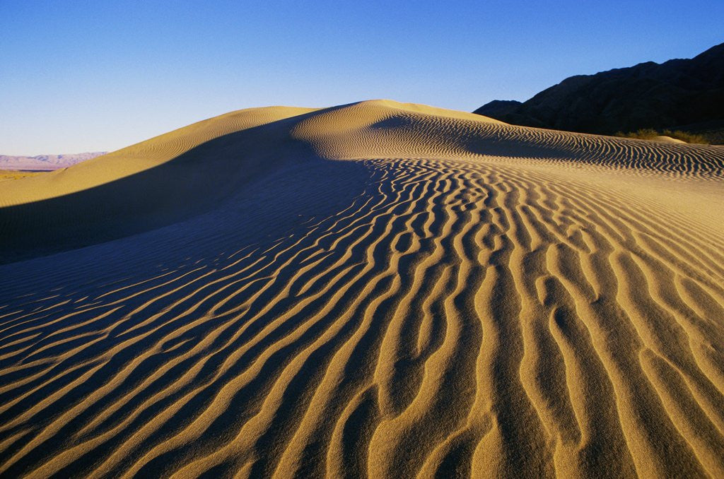 Detail of Sand Dunes in Death Valley by Anonymous