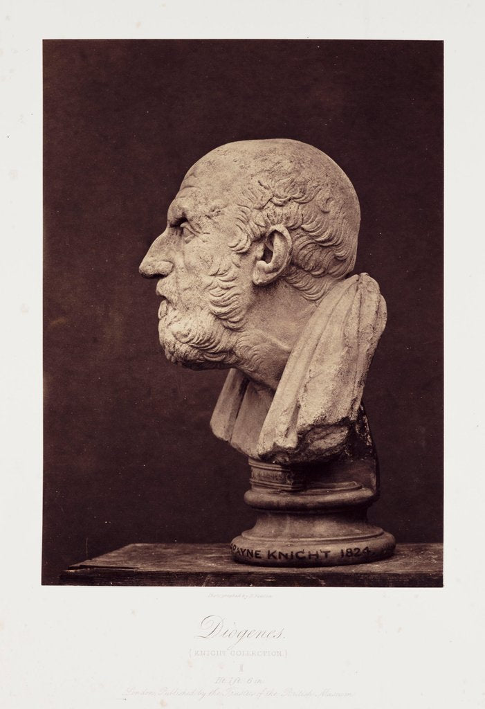 Detail of Diogenes by Roger Fenton
