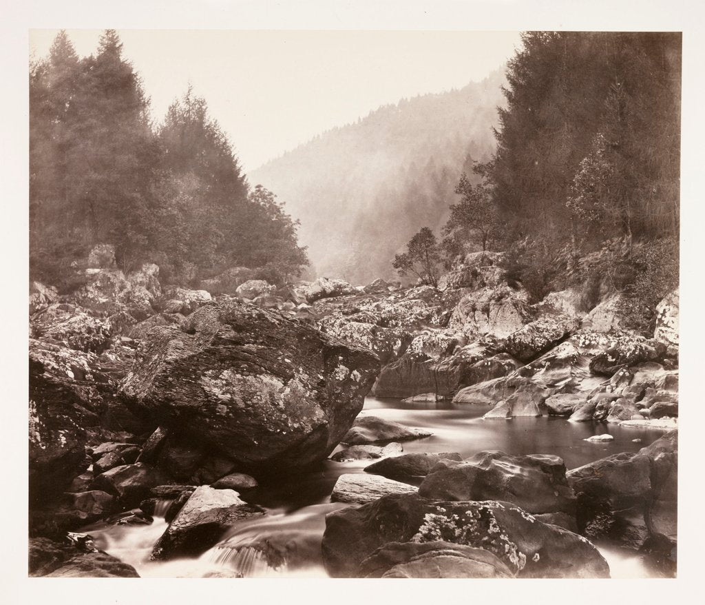 Detail of View on the Llugwy by Roger Fenton