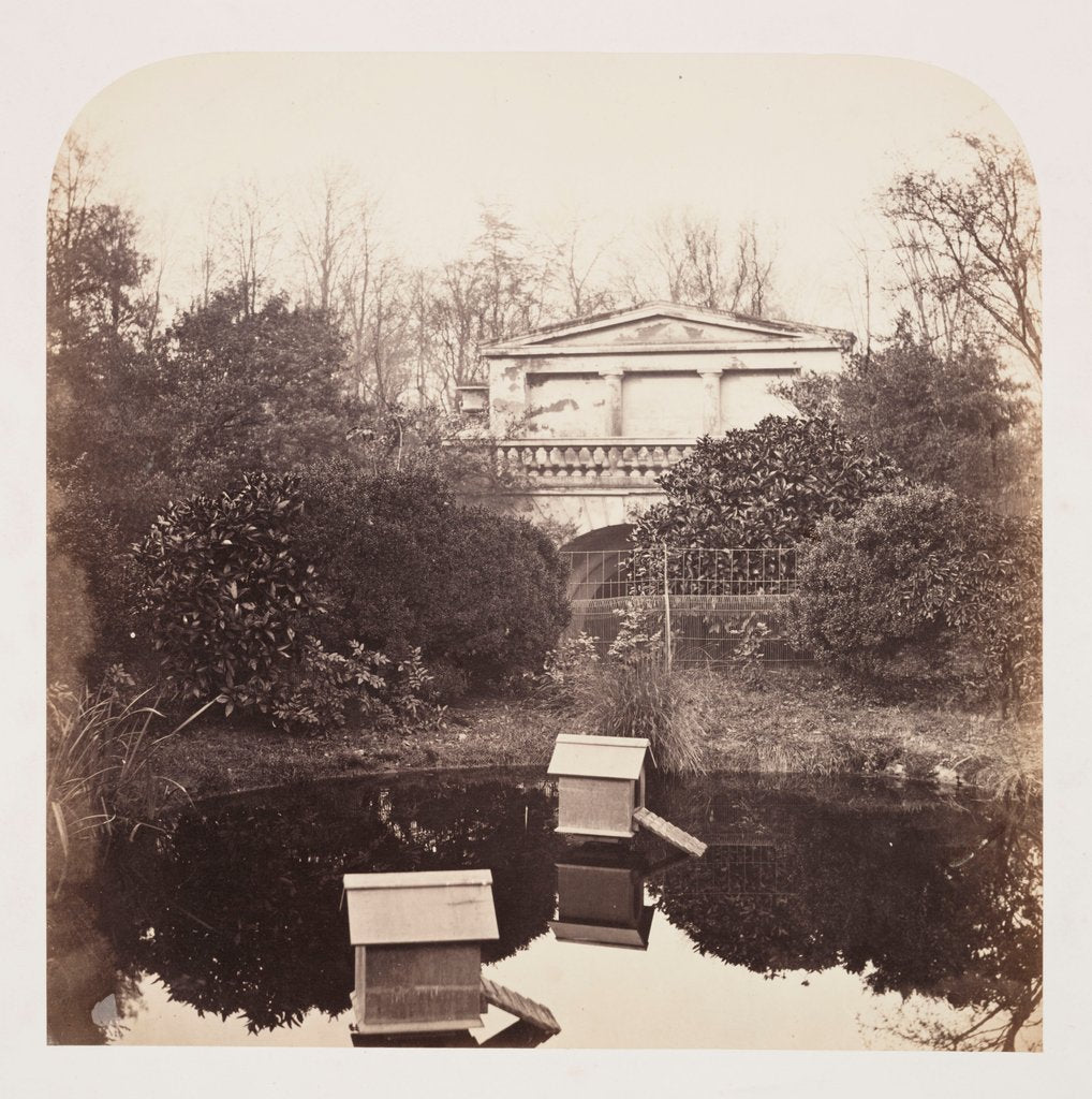 Detail of Breeding Pool by Roger Fenton