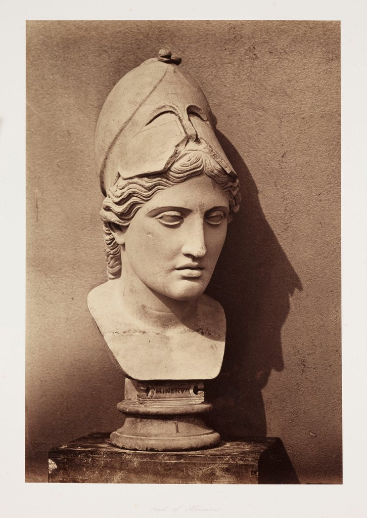Detail of Head of Minerva by Roger Fenton