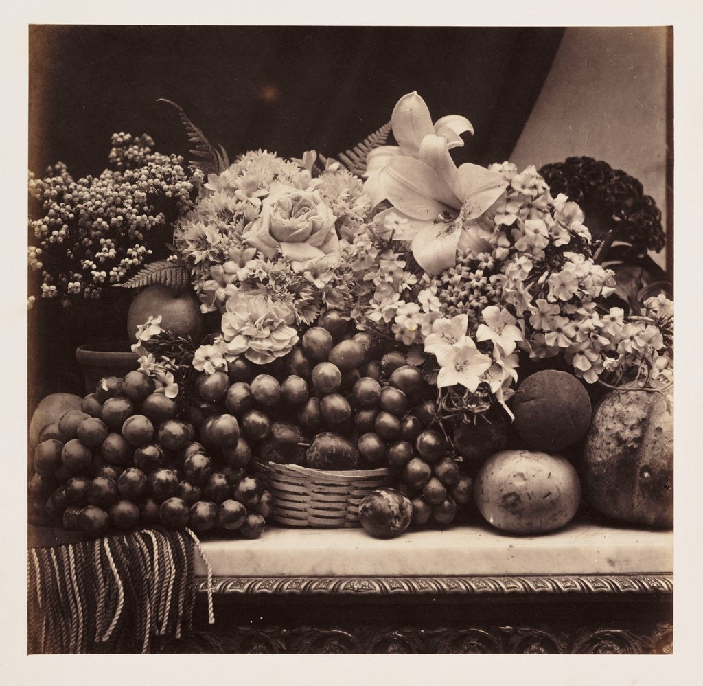 Detail of Flowers and Fruit by Roger Fenton