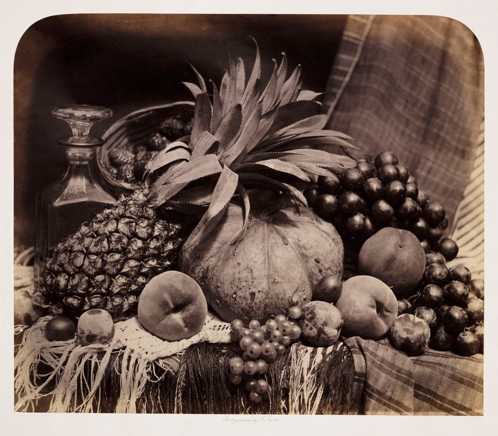 Detail of Still life of fruit by Roger Fenton