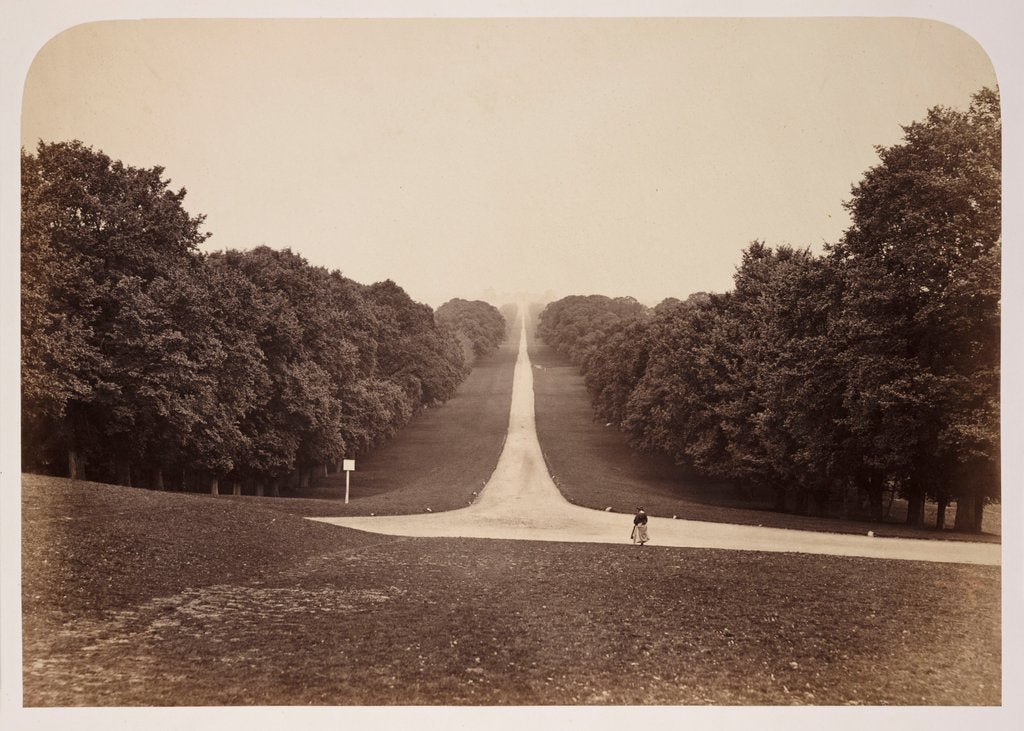 Detail of The Long Walk by Roger Fenton