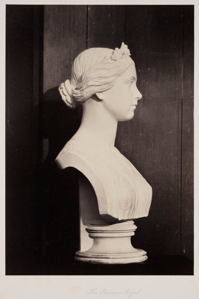 Detail of The Princess Royal by Roger Fenton