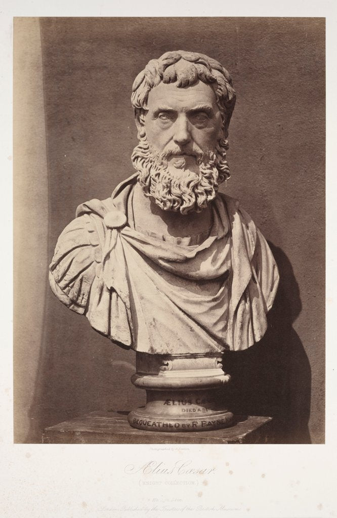 Detail of Ælius Caesar by Roger Fenton