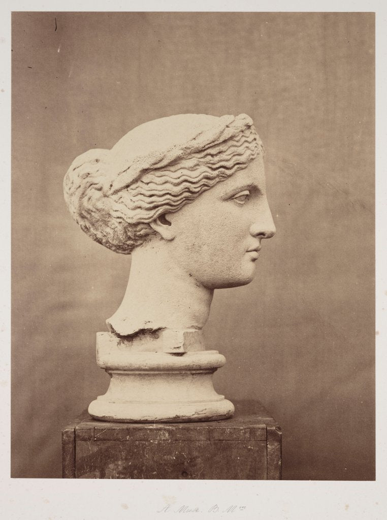 Detail of A Muse by Roger Fenton