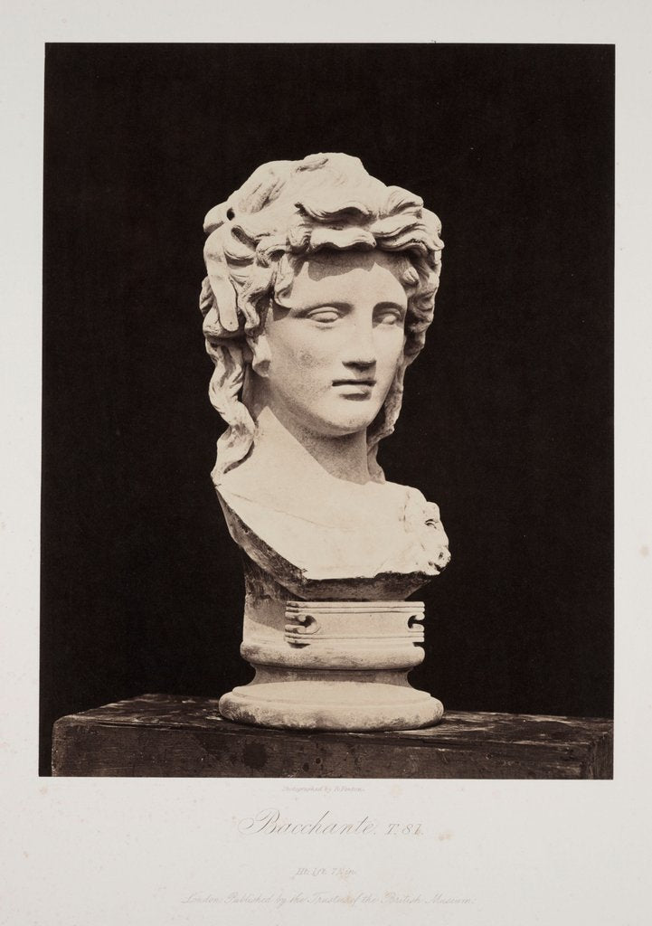 Detail of Bacchante by Roger Fenton