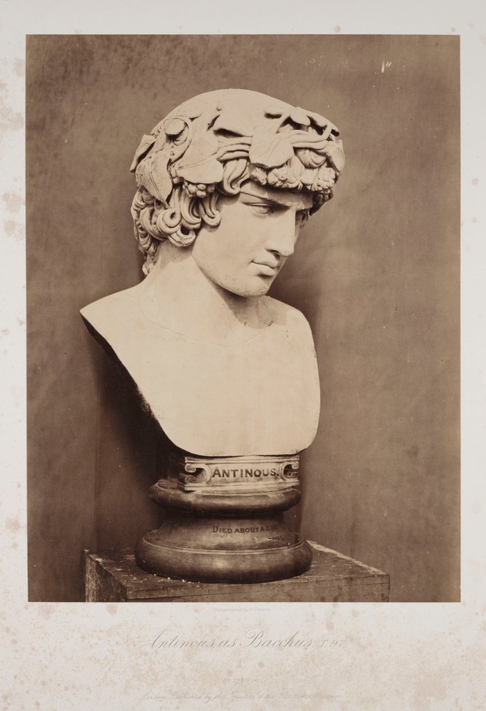 Detail of Antinoüs by Anonymous