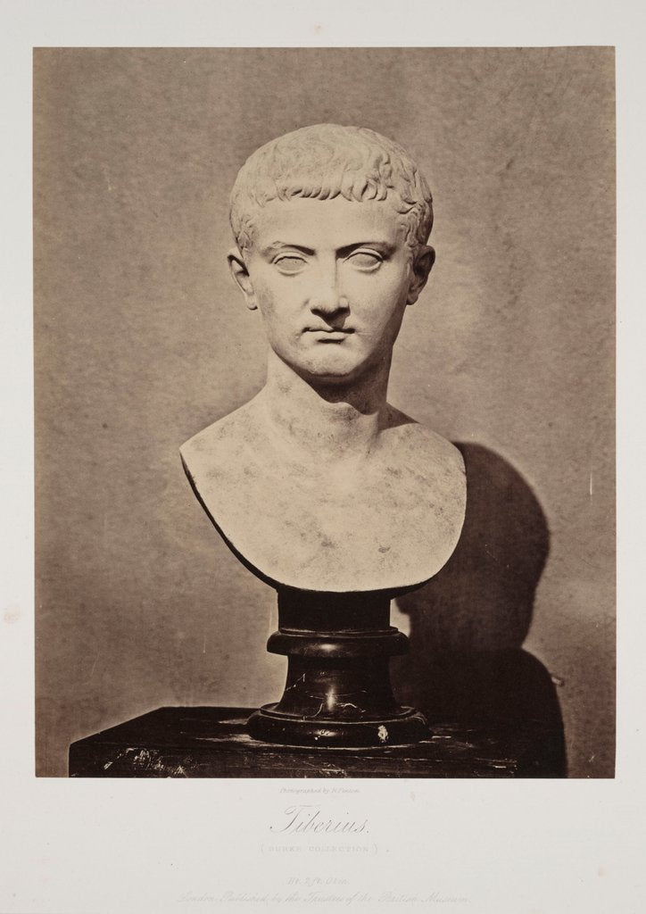 Detail of Tiberius (Burke Collection) by Roger Fenton