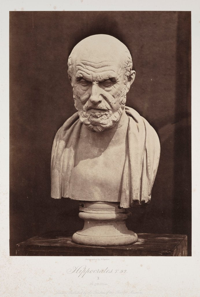 Detail of Hippocrates by Roger Fenton
