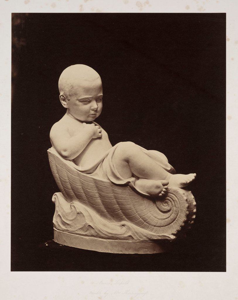 Detail of Prince Leopold by Roger Fenton