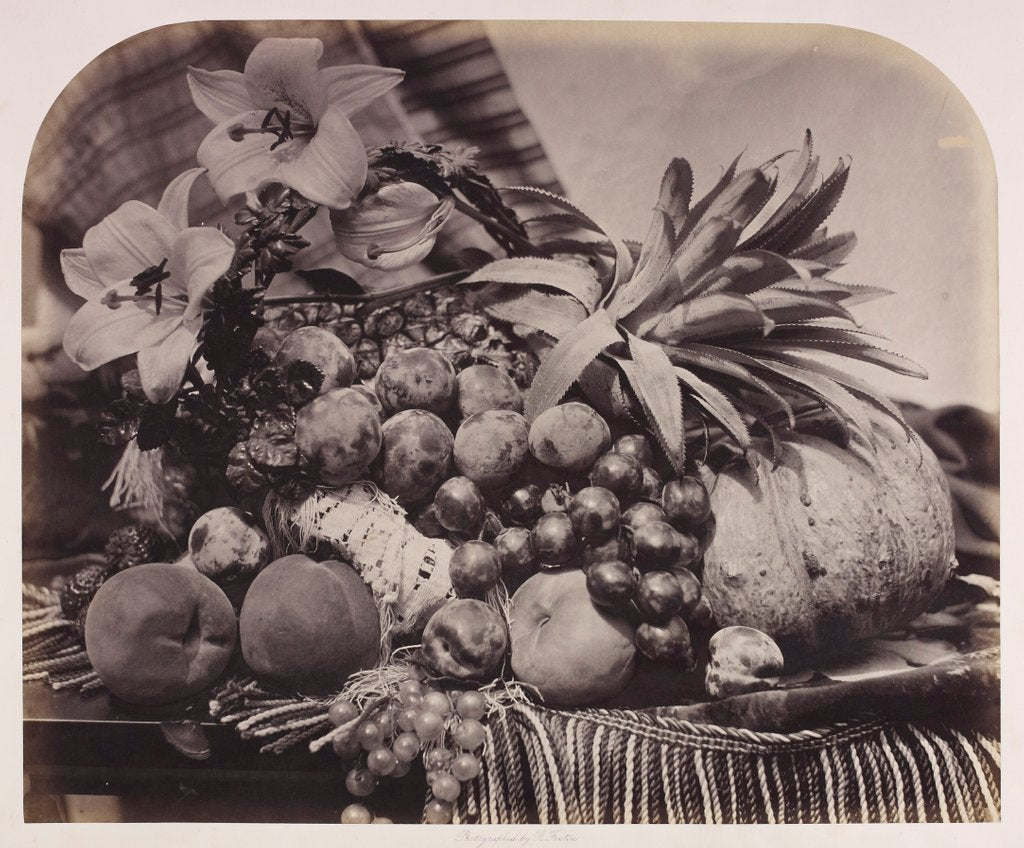 Detail of Fruit and flowers by Roger Fenton