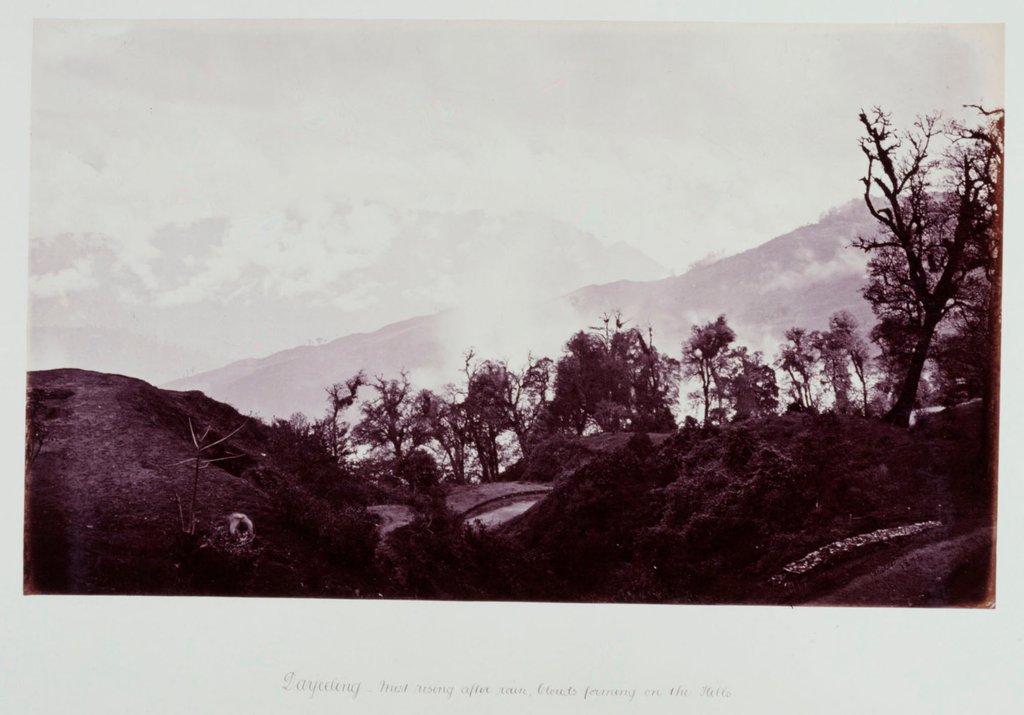 Detail of Darjeeling mist rising by Samuel Bourne