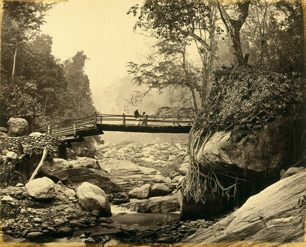Detail of Bridge over Rungoo below Ging by Samuel Bourne