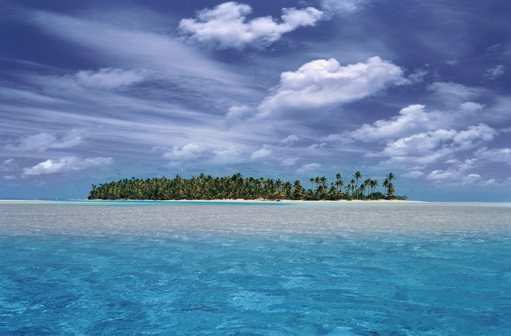 Detail of Tropical Island by Anonymous