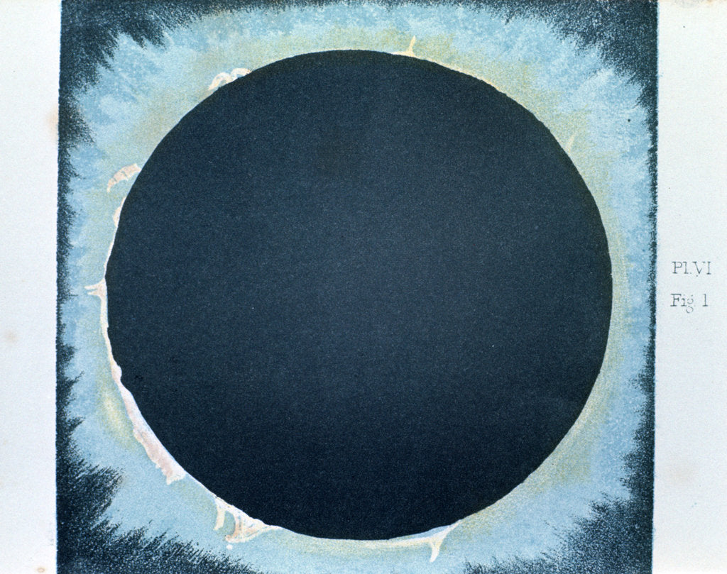 Detail of Solar corona and prominences 1860 (1870) by Anonymous