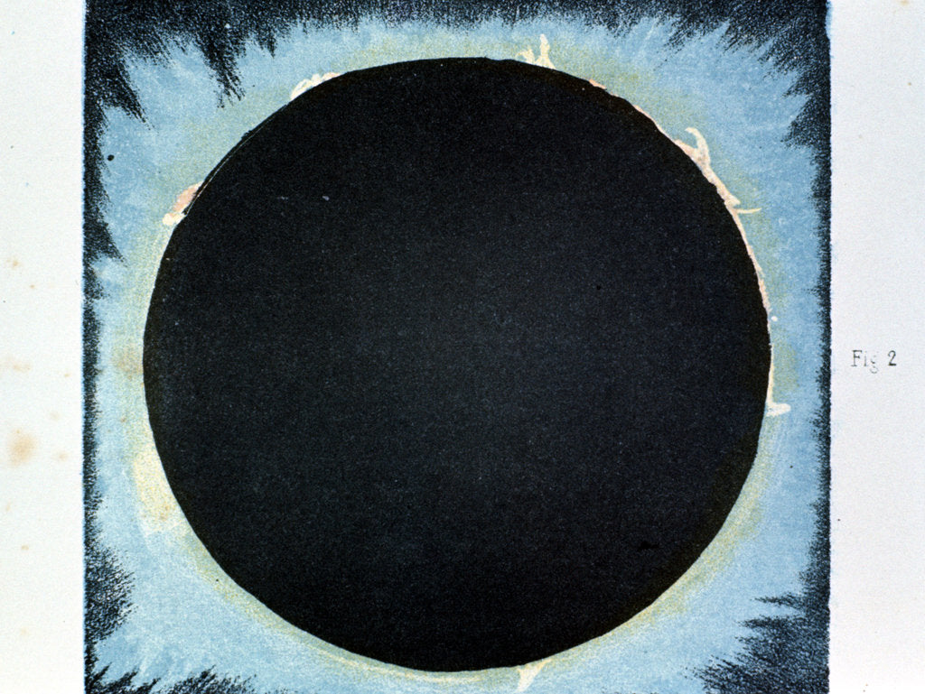 Detail of Solar corona and prominences 1860 (1870) by Anonymous