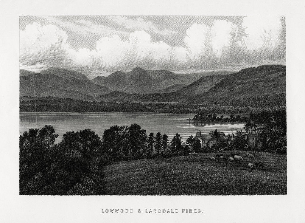 Detail of Lowwood and Langdale Pikes, Lake District, Cumbria by Anonymous