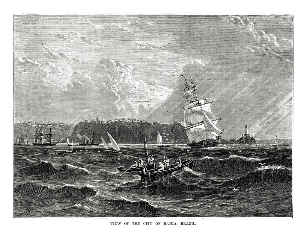 Detail of Bahia, Brazil by Anonymous