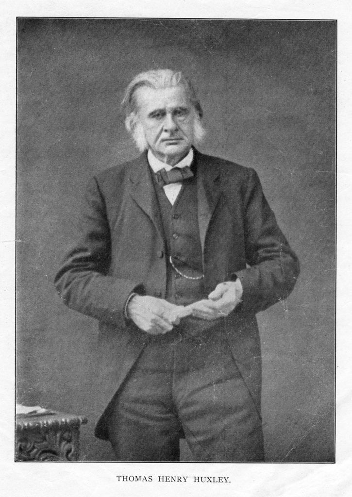 Detail of Thomas Henry Huxley, British biologist by Anonymous