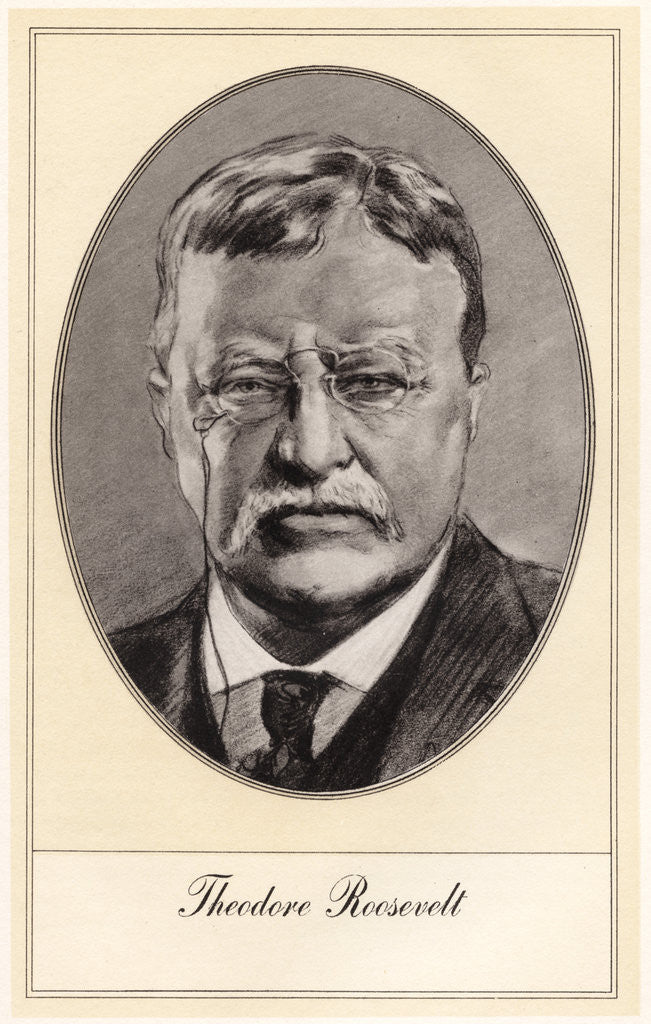 Detail of Theodore Roosevelt, 26th President of the United States by Gordon Ross