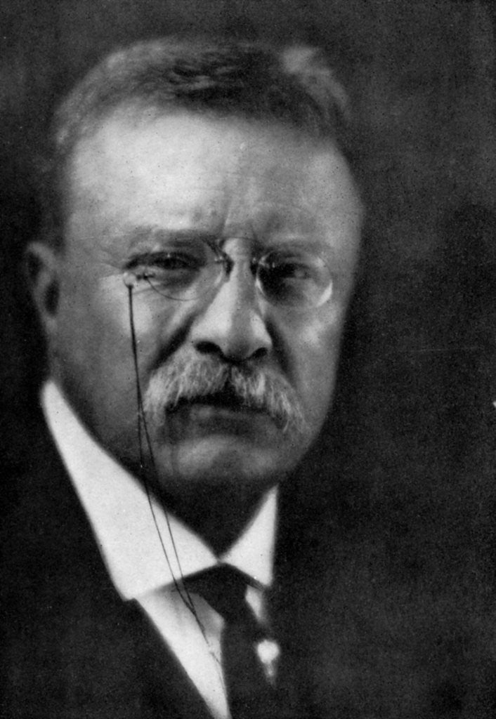 Detail of Theodore Roosevelt, 26th President of the United States by Anonymous