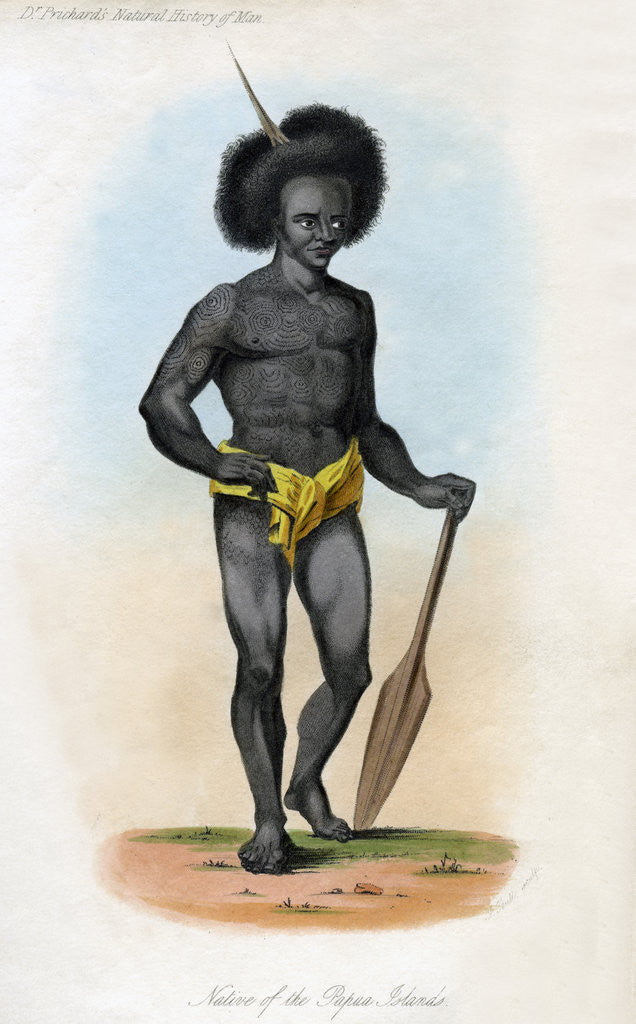 Detail of Native of the Papua Islands by J Bull
