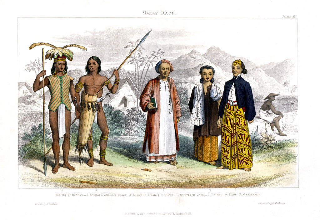 Detail of Malay Race by R Anderson