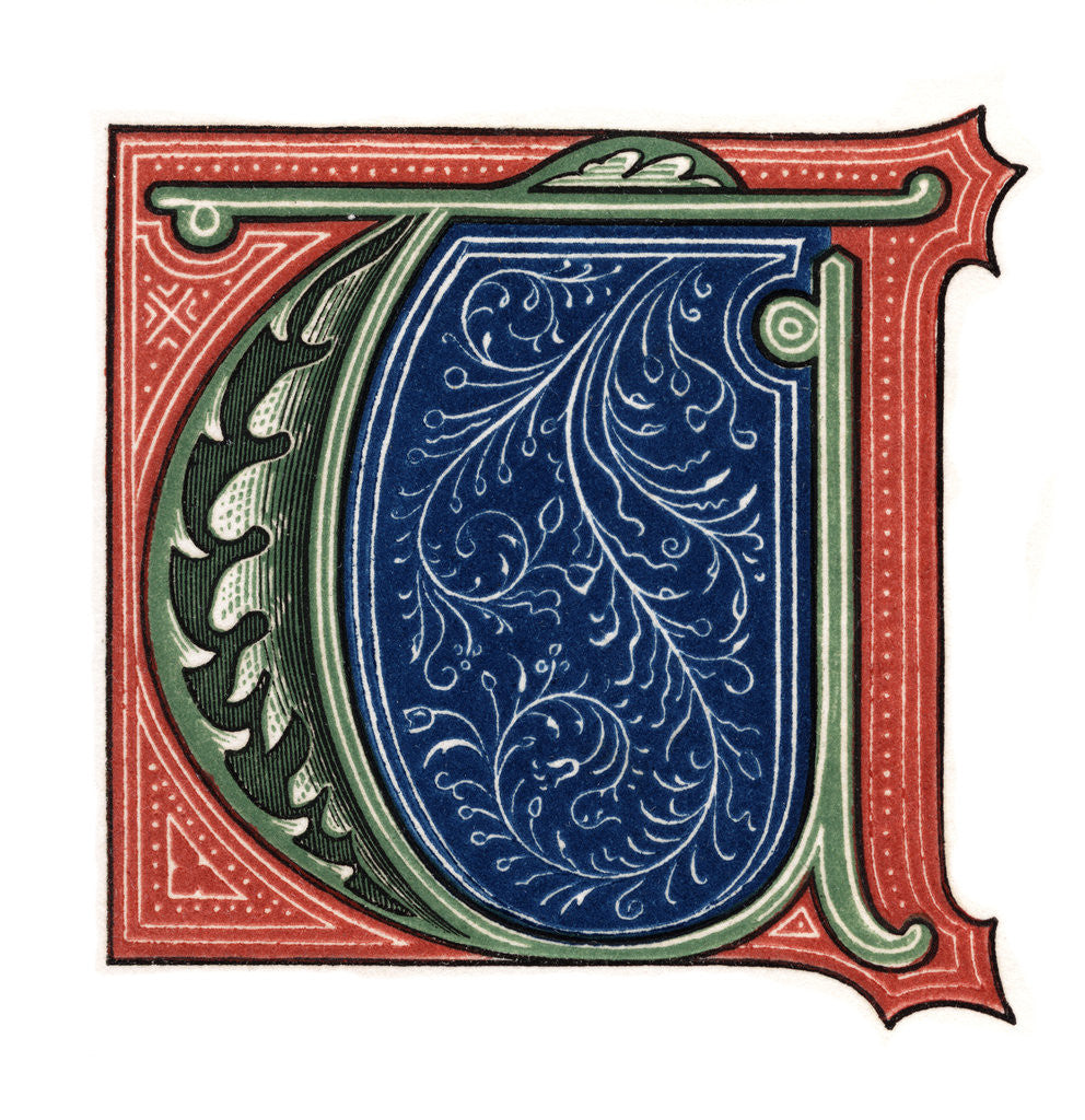 Detail of Initial letter 'T' by Henry Shaw