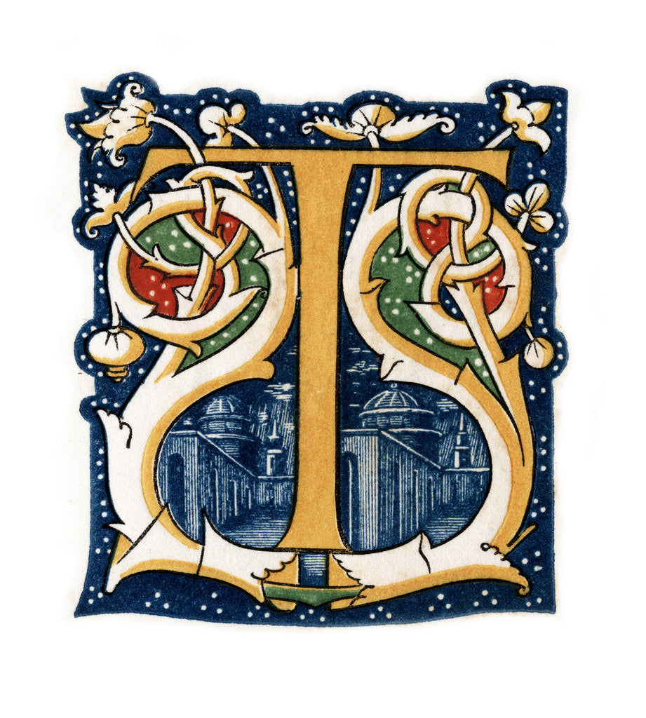 Detail of Initial letter 'T' by Henry Shaw