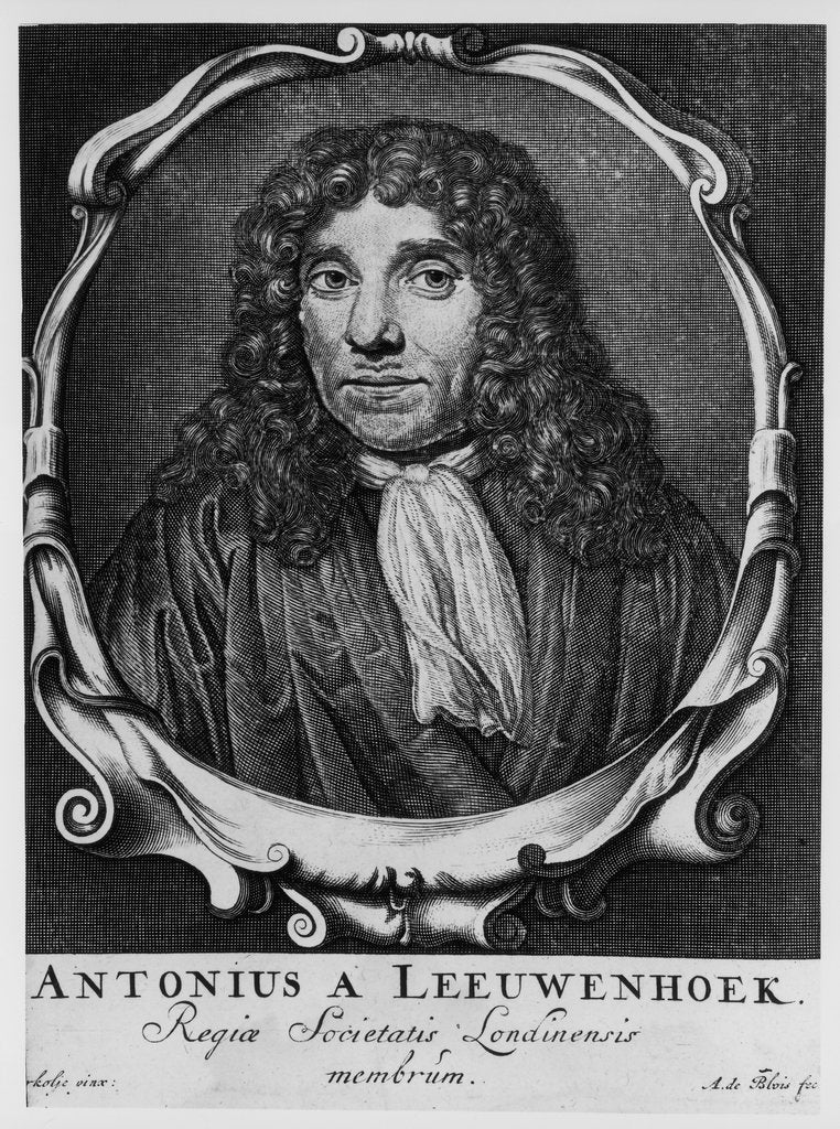Detail of Antoni van Leeuwenhoek, Dutch pioneer of microscopy, c1660 by Abraham de Blois