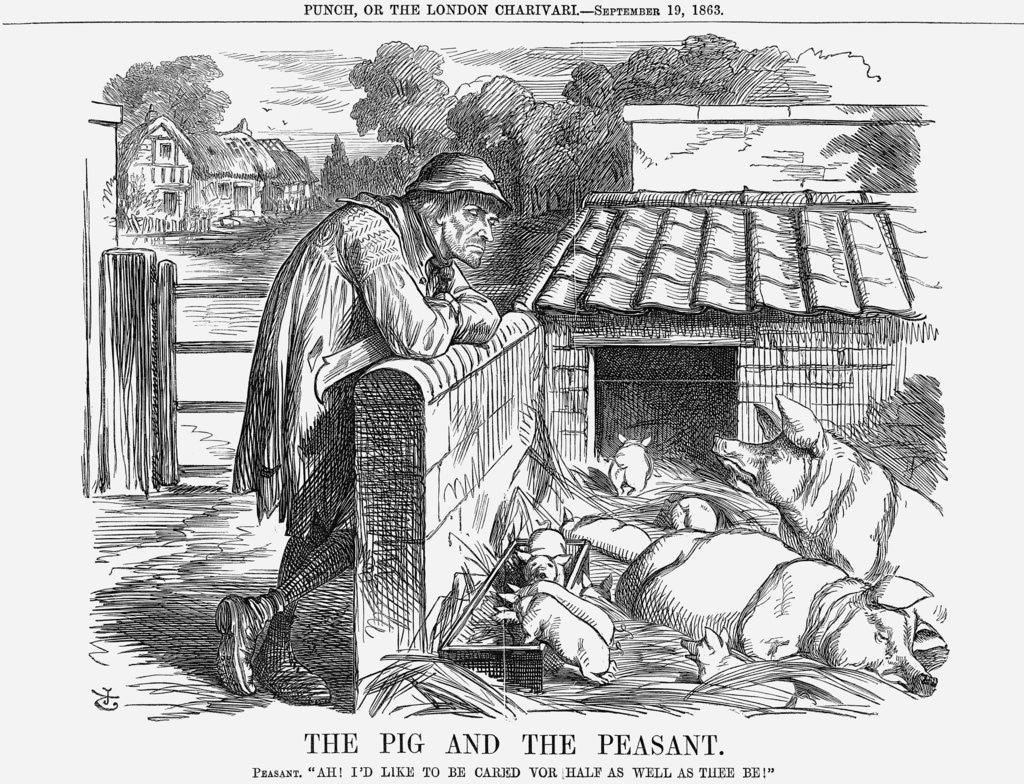 Detail of The Pig and The Peasant by John Tenniel