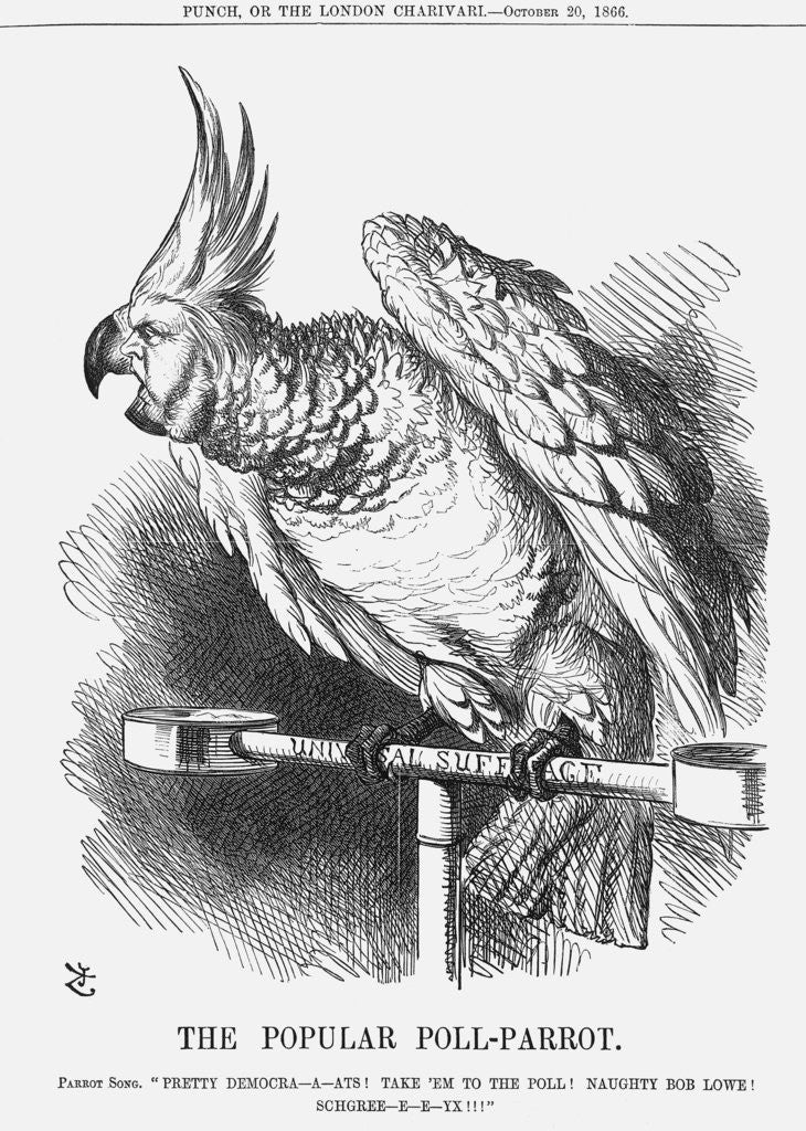 Detail of The Popular Poll-Parrot by John Tenniel