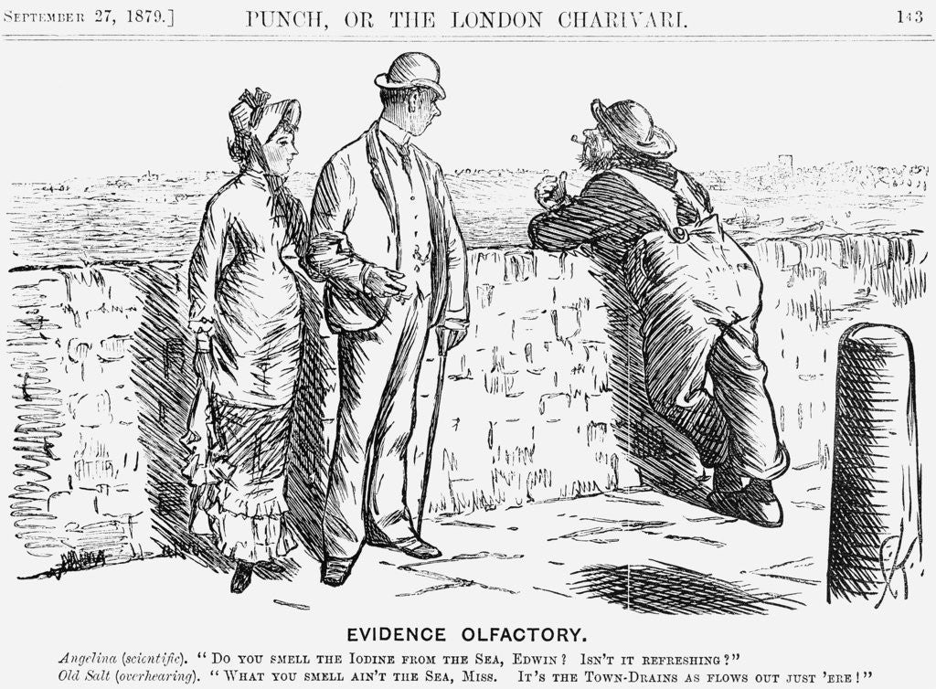 Detail of Evidence Olfactory by Charles Samuel Keene