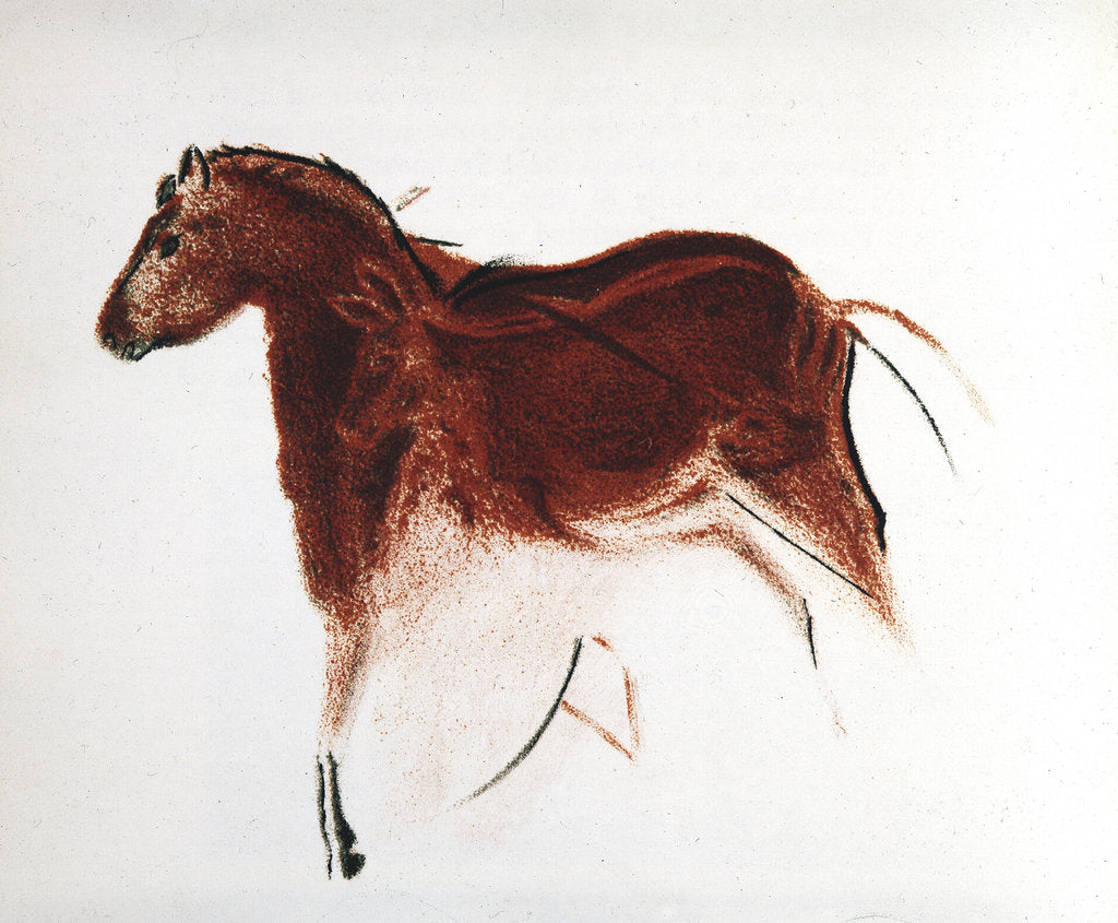 Detail of Horse and Hind, Palaeolithic cave painting from Altamira, southern Spain, c16,000-c9000 BC by Unknown