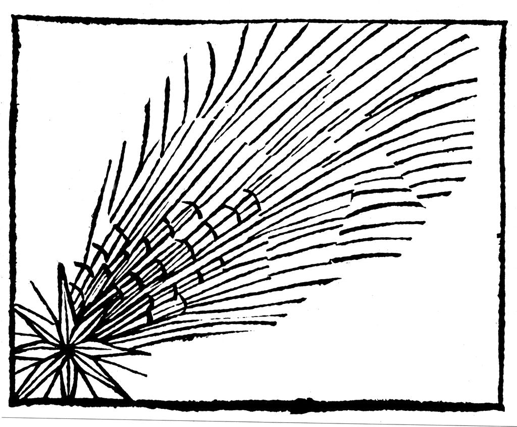 Detail of Comet of 684 (Halley), 1493 by Unknown