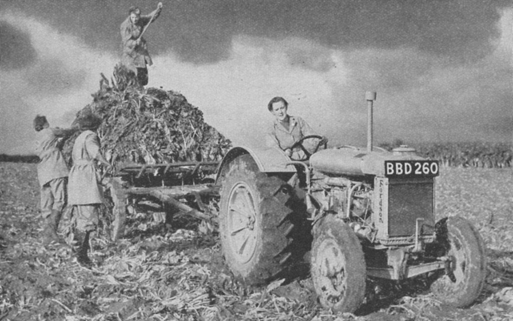 Detail of Women's Land Army lifting a crop, World War II, 1940 by Unknown