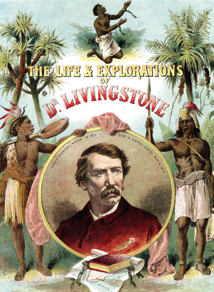 Detail of David Livingstone, Scottish missionary and explorer of Africa, c1875 by Unknown