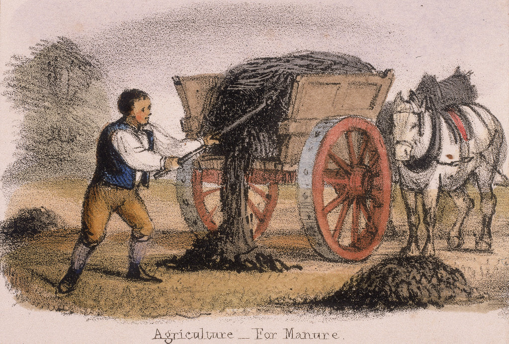 Detail of Agriculture, for Manure, c1845 by Benjamin Waterhouse Hawkins