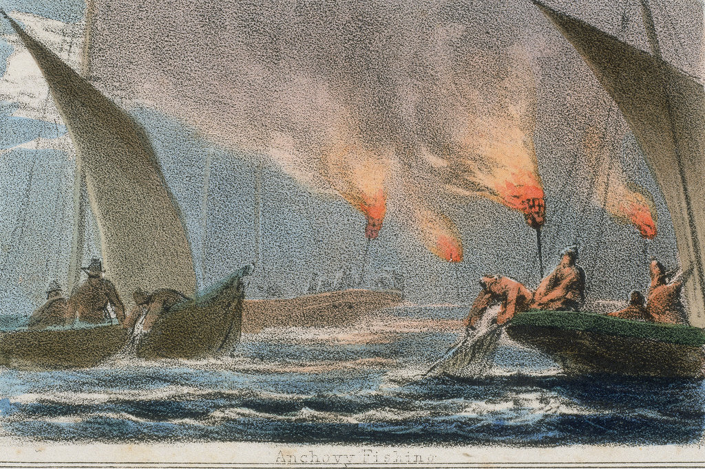 Detail of Anchovy Fishing, c1845 by Benjamin Waterhouse Hawkins