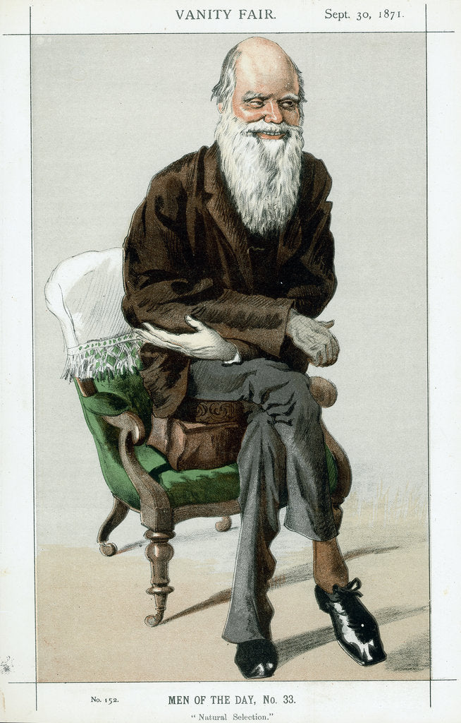 Detail of Charles Darwin, English naturalist, 1871 by Unknown