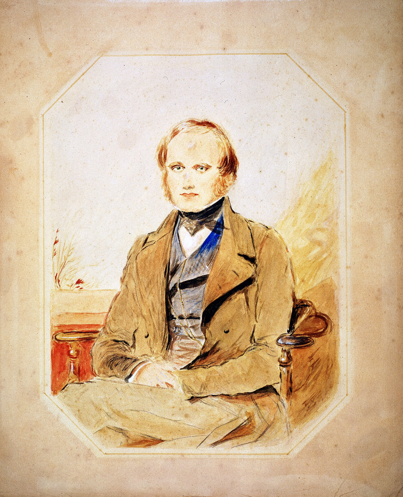 Detail of Charles Darwin, English naturalist by Unknown