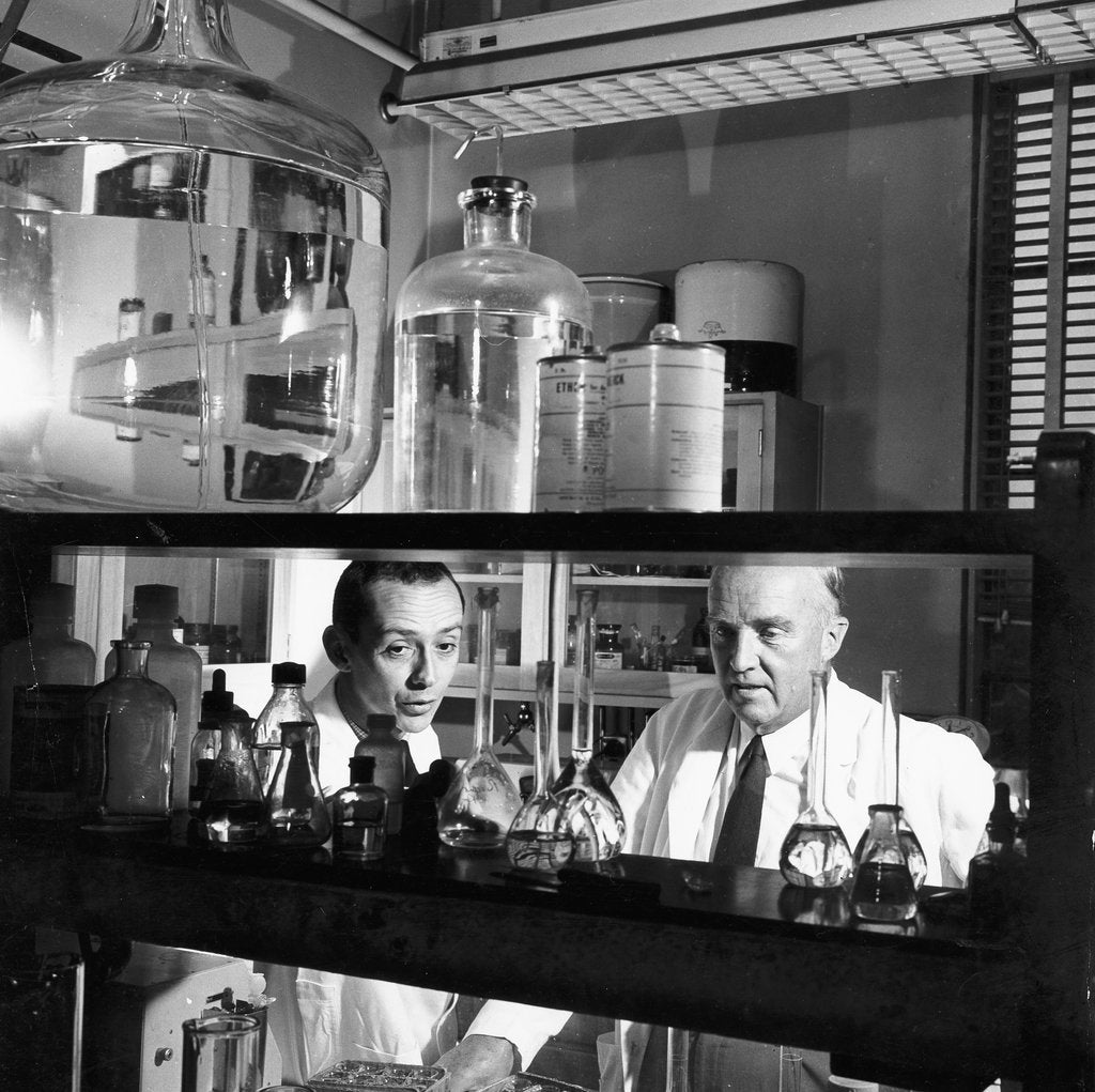 Detail of Charles Herbert Best, Canadian physiologist, 1960 by Unknown