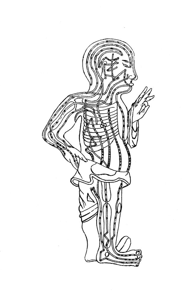 Detail of Acupuncture chart, 19th century by Unknown
