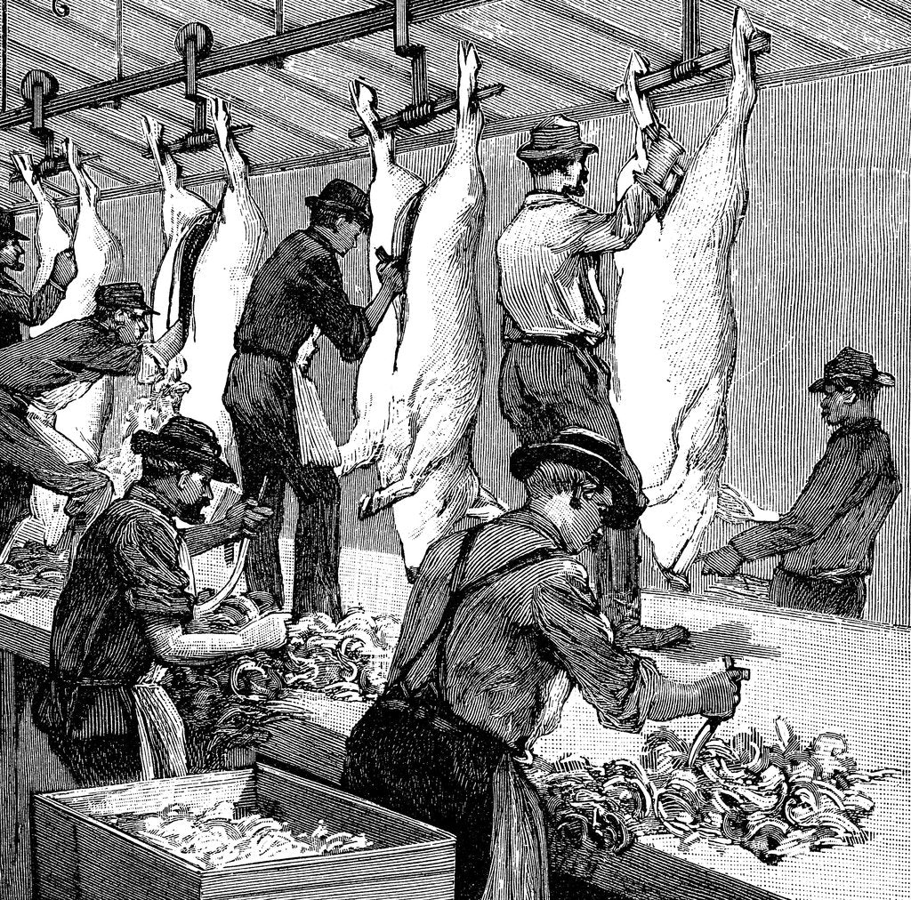 Detail of Armour Company's pig slaughterhouse, Chicago, Illinois, USA, 1892 by Unknown