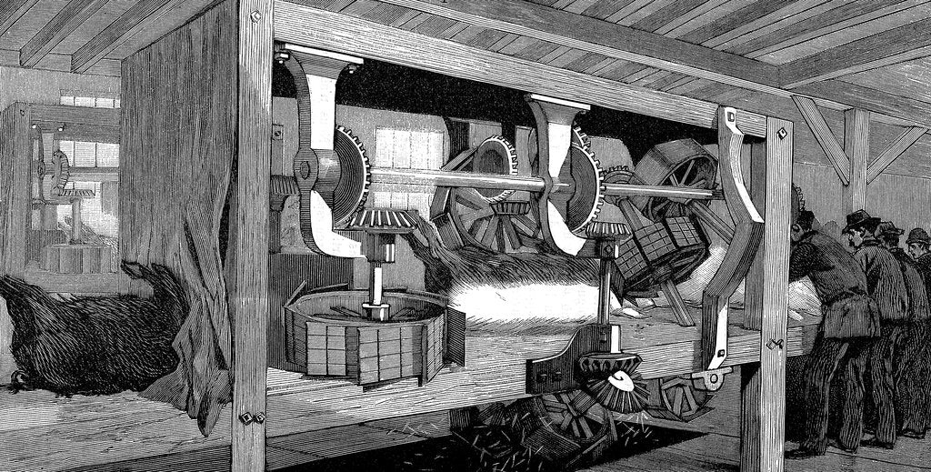 Detail of Armour Company's pig slaughterhouse, Chicago, Illinois, USA, 1892 by Unknown