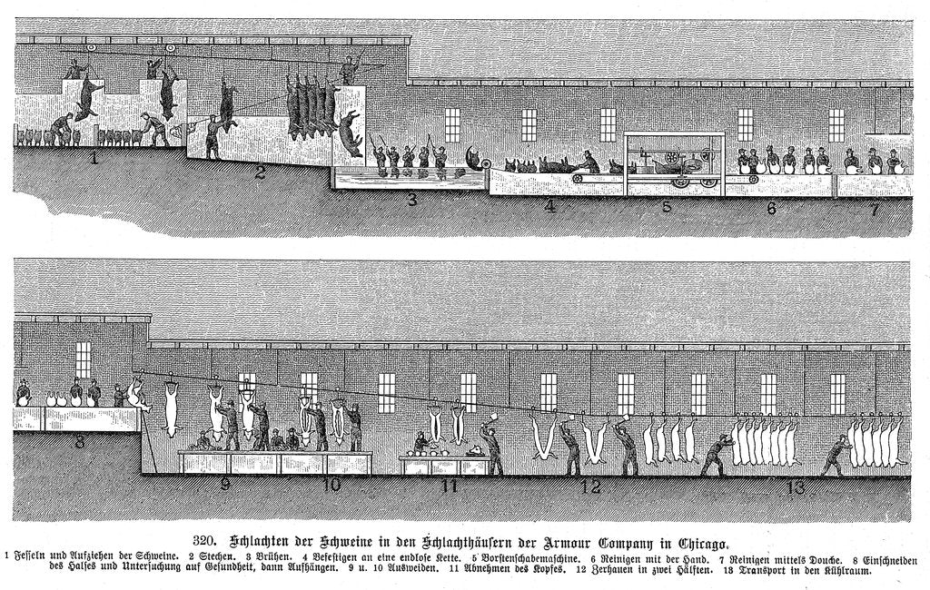 Detail of Armour Company's pig slaughterhouse, Chicago, Illinois, USA, 1895 by Unknown