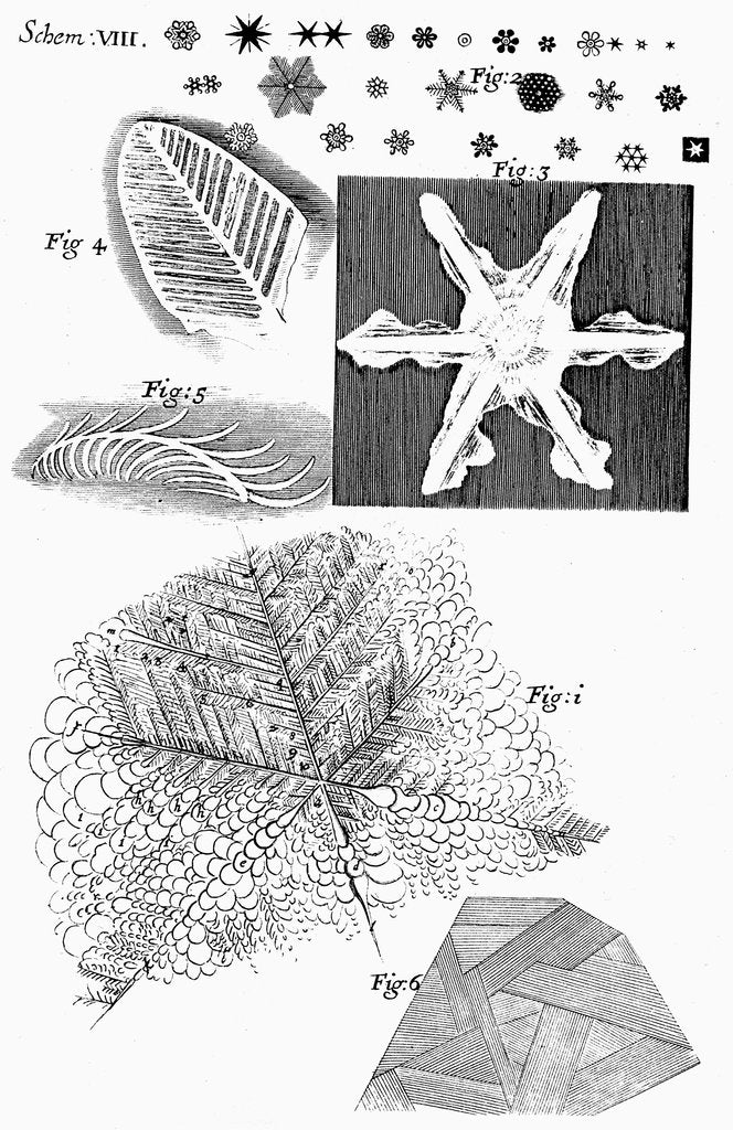 Detail of Frozen materials viewed by English microscopist Robert Hooke, 1665 by Unknown