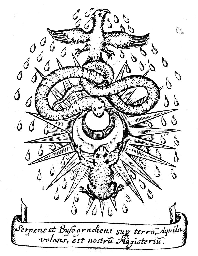 Detail of Alchemical symbolism, 1652 by Unknown